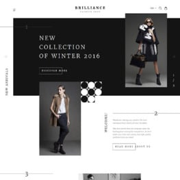 Brilliance Shopify Theme #58072