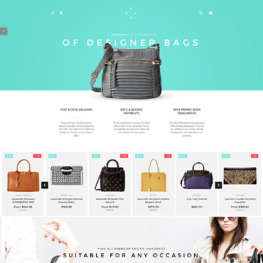 Handbag Boutique Shopify Theme #58235