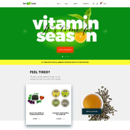Web Development Shopify Theme # 58917