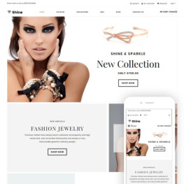 Shine Sparkle Jewelry Store Clean Shopify Theme #75670