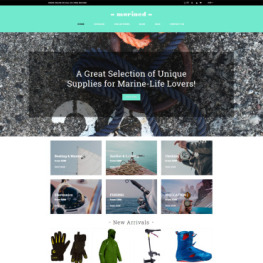 Marined Boating Accessories Clean Shopify Theme #78773