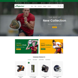 Aspero Sectioned Theme # 79254