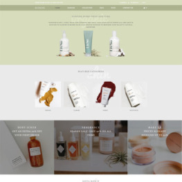 Ecocos Cosmetics Store eCommerce Shopify Theme #81214