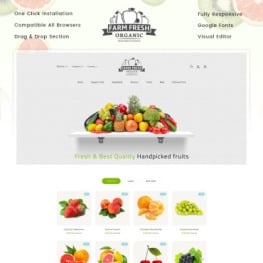 Organic Store Shopify Theme #83976