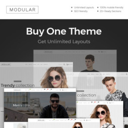 Modular Fashion Shopify Theme # 86583