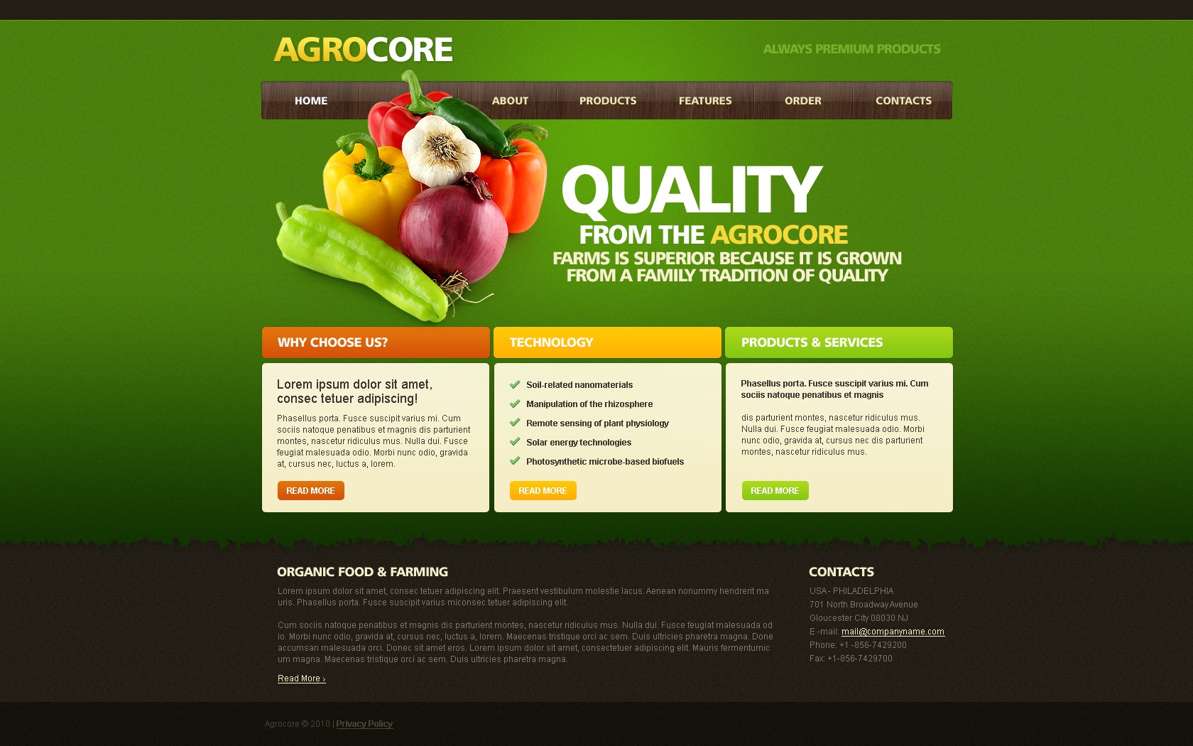 Vegetable site Template 26405