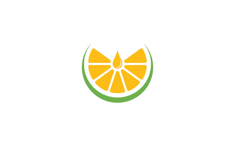 Fresh Fruit Orange Logo Vector Design Template V4 Logo Template