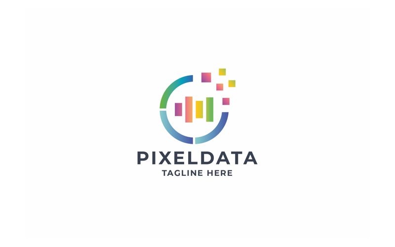 Professional Pixel Data Logo Logo Template
