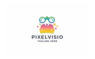 Professional Pixel Vision Logo