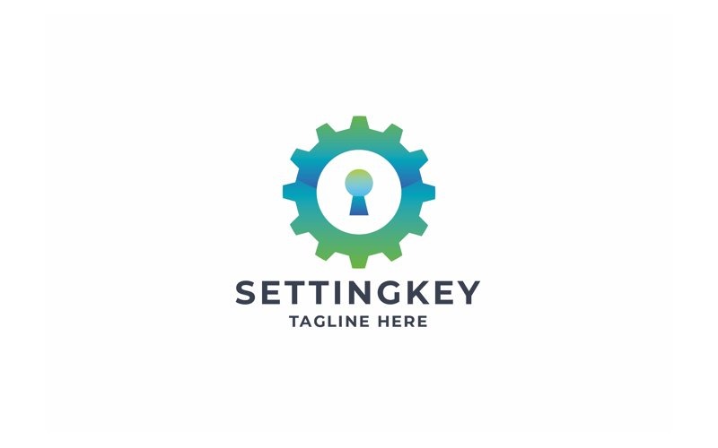 Professional Setting Key Logo Logo Template