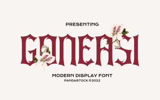 Goneasi Modern Display Font