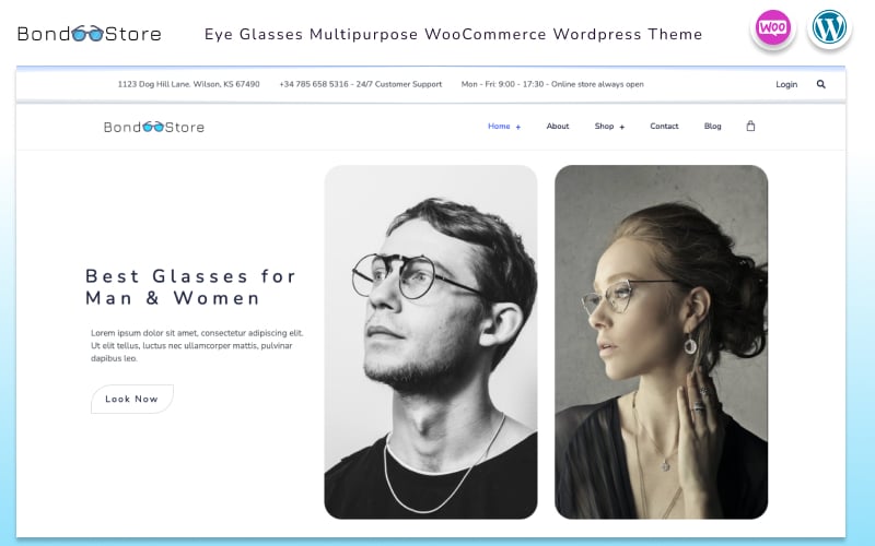 Template #269255 Shop Eyeglasses Webdesign Template - Logo template Preview