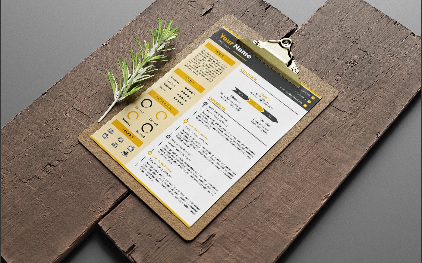 Template #269687 Infographic Resume Webdesign Template - Logo template Preview