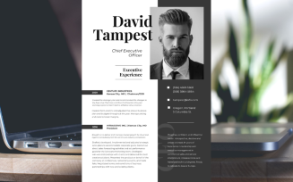 Executive Officer Printable Newest Editable Modern Resume Template