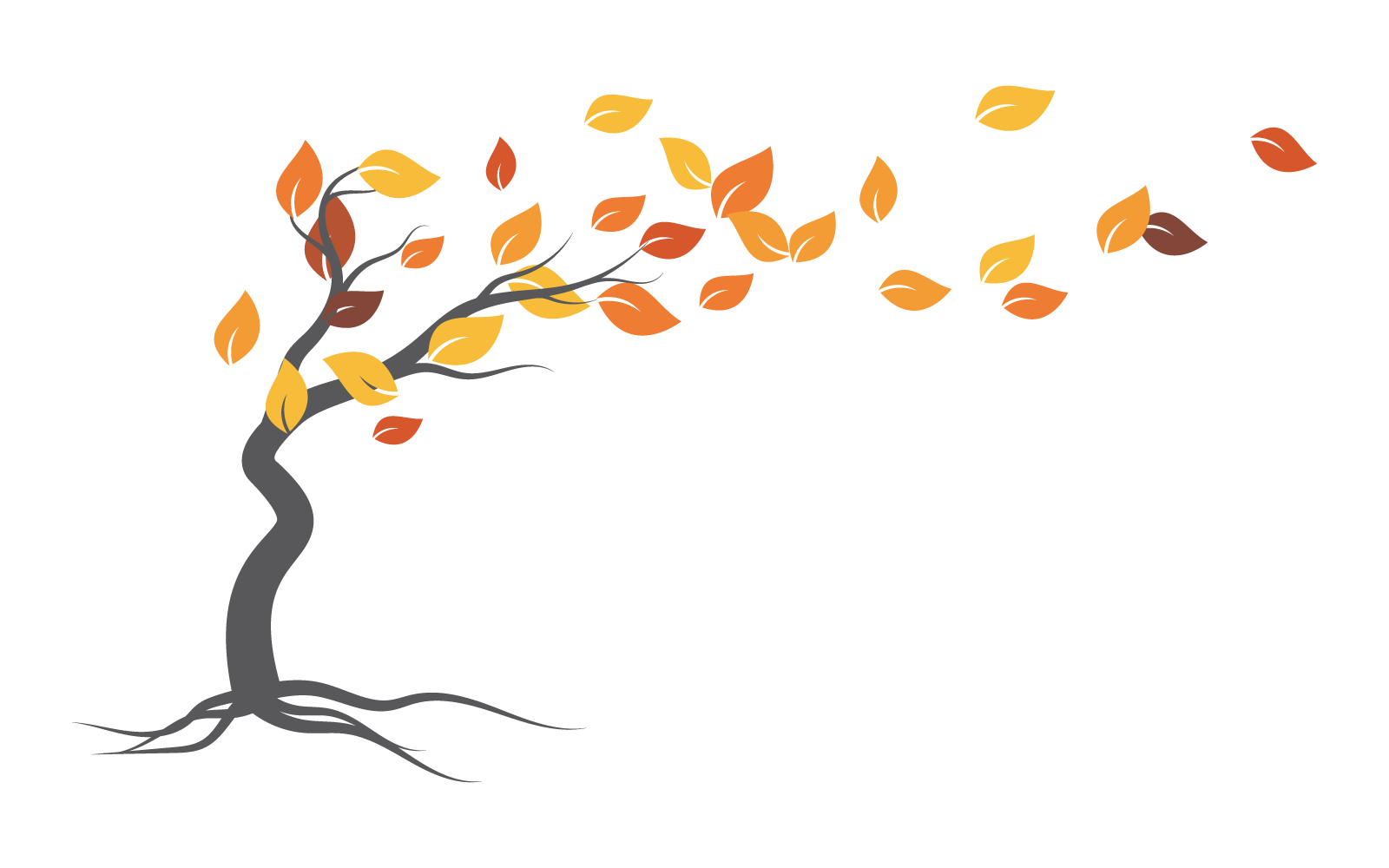 Podzim strom Starý strom příroda ilustrace logo šablony vektorový design