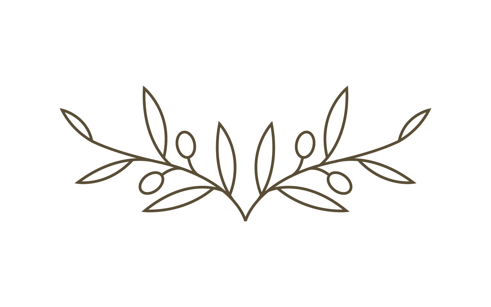Illustration of Olive logo template vector flat design