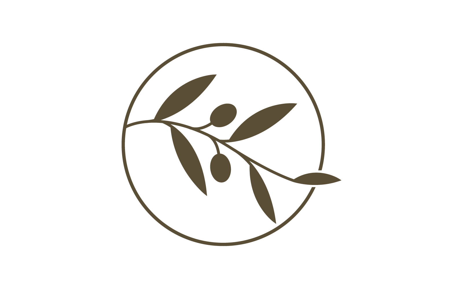 Olive illustration logo vector flat design template