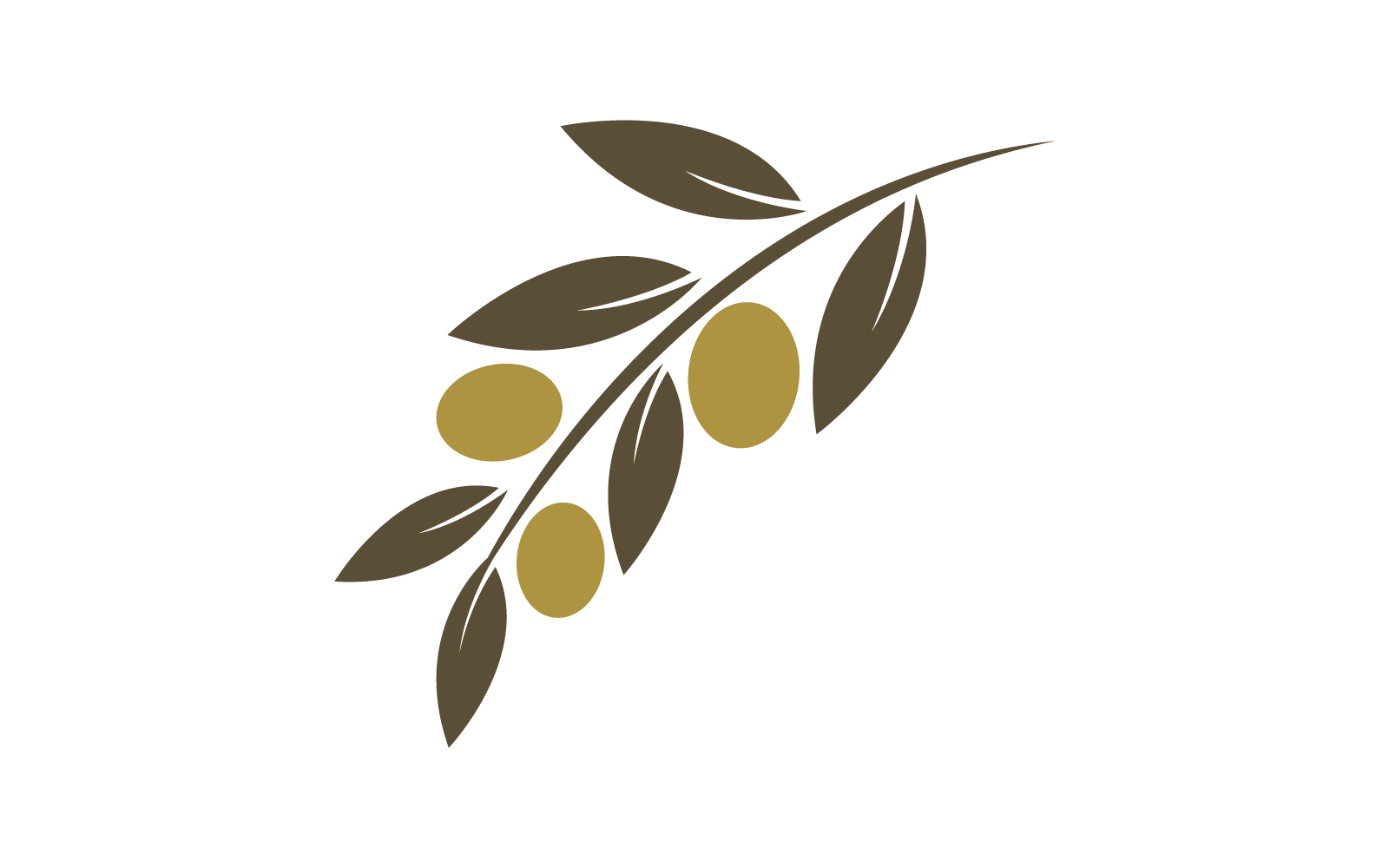 Olive logo template vector flat design eps 10