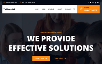 TishConsult2 - Business and Consulting WordPress Theme