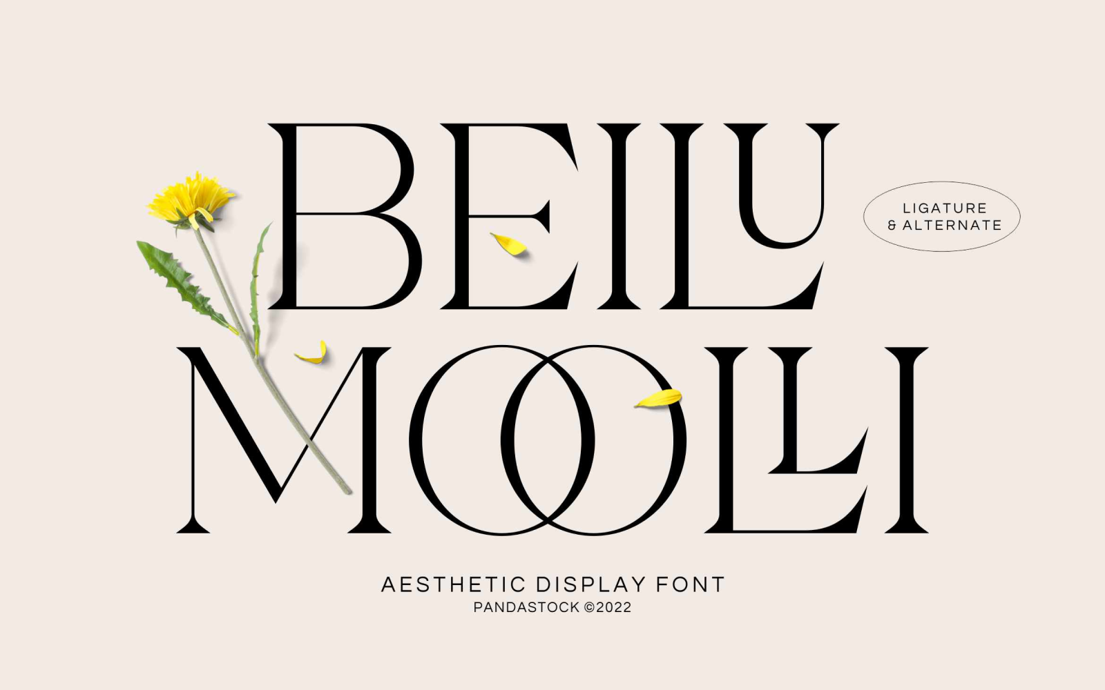 Beilu Mooli Modern Retro Font