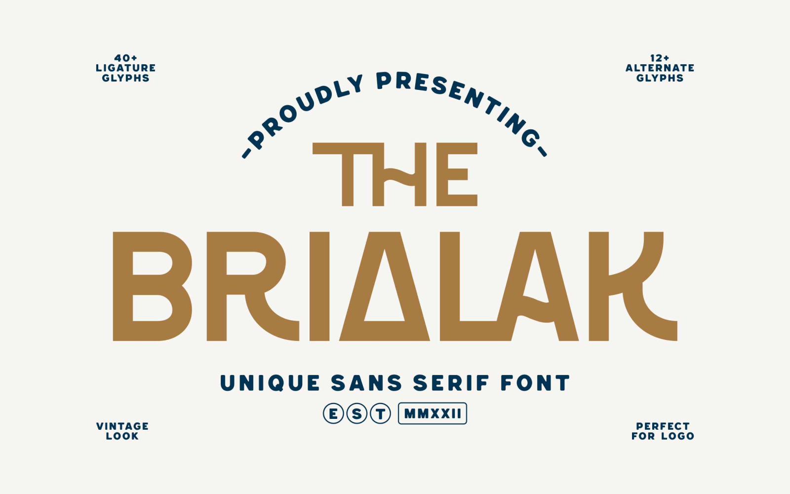 Brialak Modern Sans Serif Fonts
