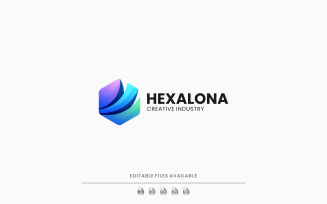 Hexagonal Gradient Colorful Logo