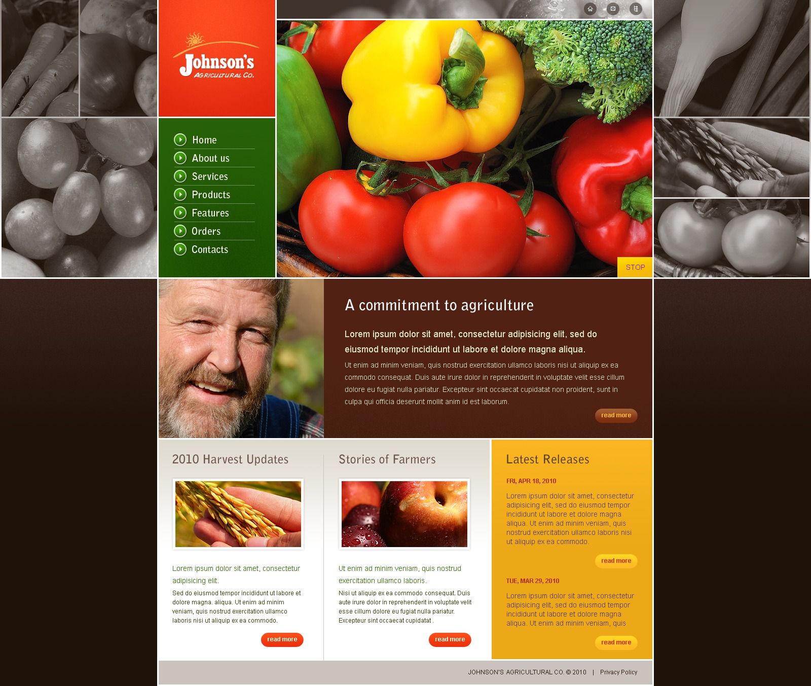vegetable-website-template-27218