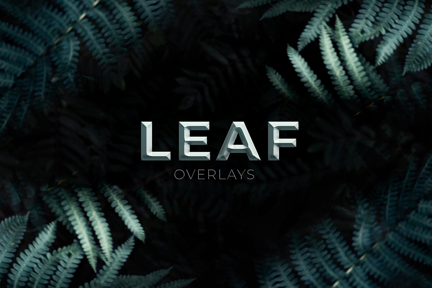 Kit Graphique #272436 Leaf Overlays Divers Modles Web - Logo template Preview