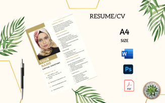 Gold Virtual Assistant Resume
