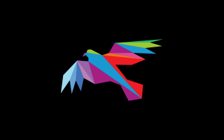 Abstract Birds Many Colors Logo Template