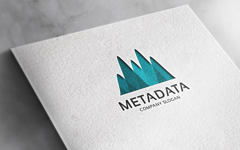 Professional Meta Data Letter M Logo Logo Template