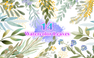 Watercolor Leaves, Watercolor Leaves Illustration