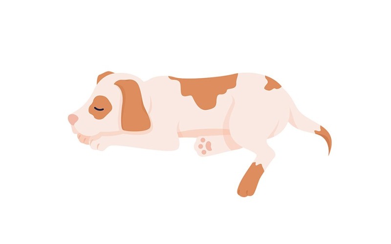 Cute sleeping dog semi flat color vector character Illustration