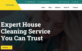 TishCleaning - Cleaning Services WordPress Theme