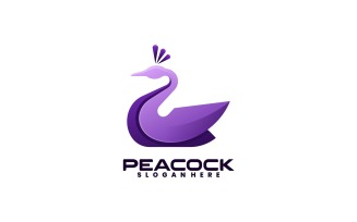 Peacock Gradient Logo Style Vol.3