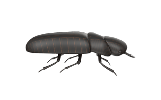 Black Bug 3D Low Poly Model