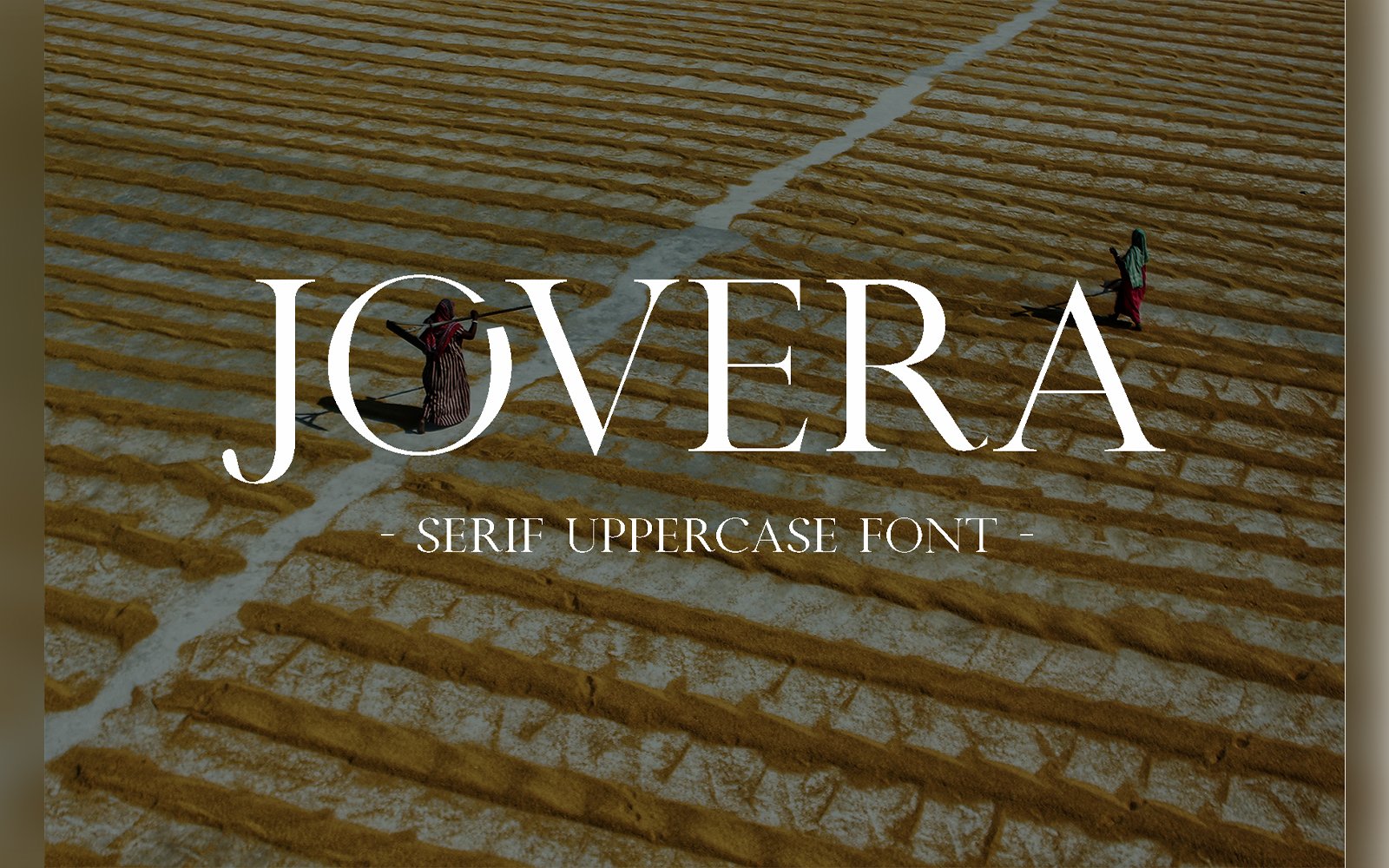 Template #276004 Fonts Display Webdesign Template - Logo template Preview