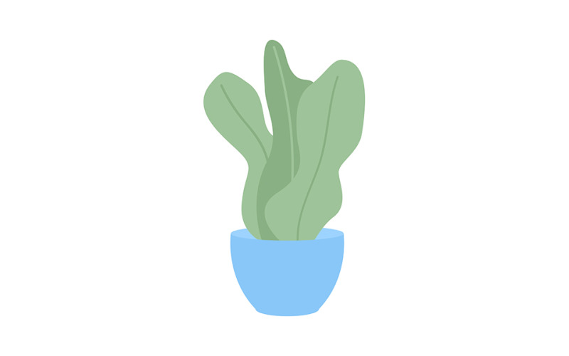 Pot plant with large leaves semi flat color vector object Illustration