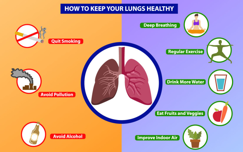 Healthy Lungs Infographics vector template Vector Graphic