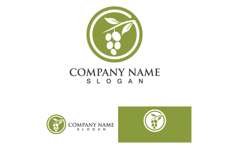 Olive Oil Logo Nature Health Vector Design Template V7 Logo Template