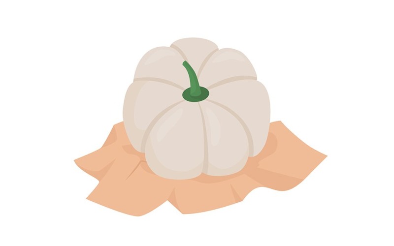 White pumpkin semi flat color vector object Illustration