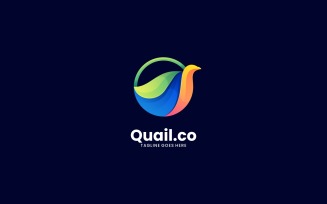 Letter Q Gradient Colorful Logo Template