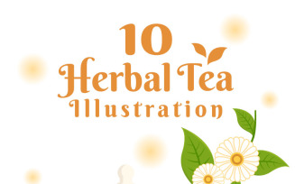 10 Herbal Tea Chamomile Leaves Illustration