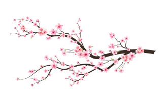 Cherry Blossom Watercolor Flower Branch