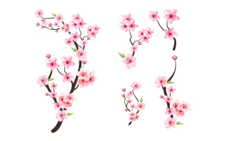 Watercolor Cherry Blossom Sakura Bud
