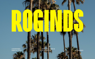 Roginds Modern Bold Typeface