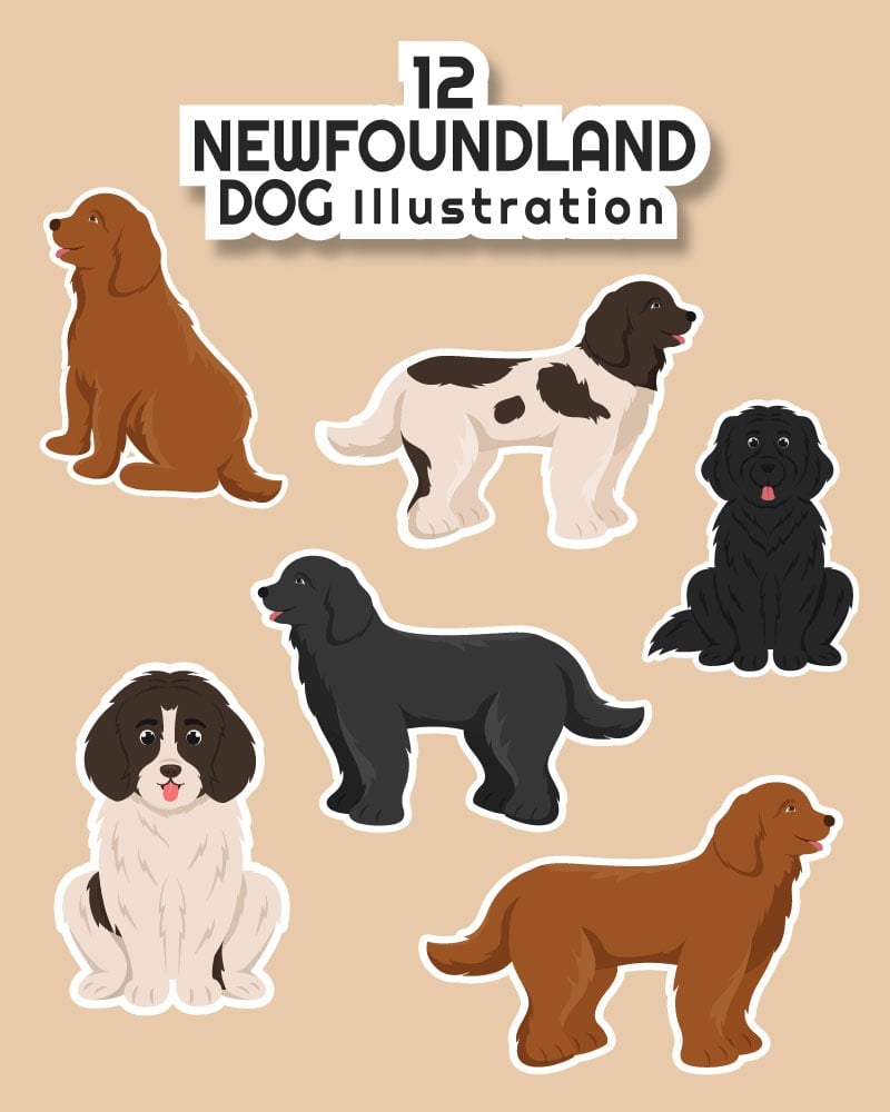 Kit Graphique #285732 Newfoundland Dog Divers Modles Web - Logo template Preview