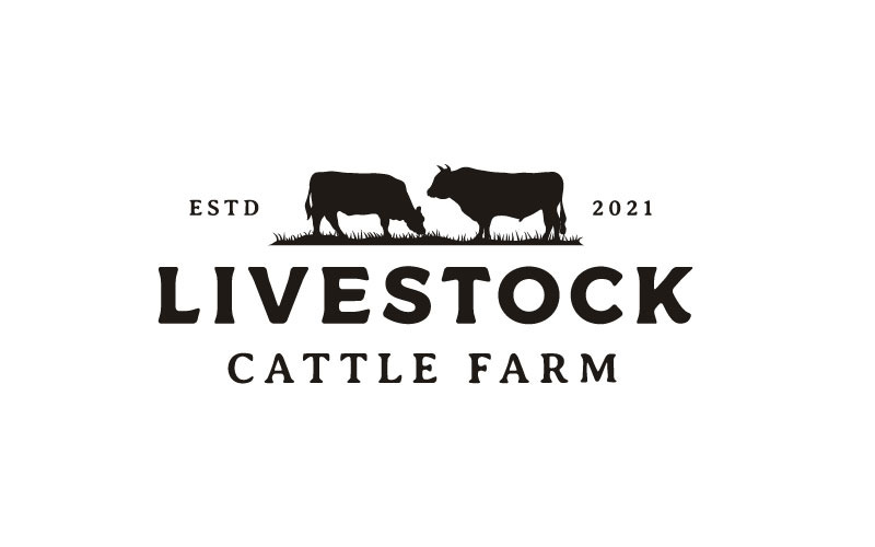 Vintage Retro Angus Cattle, Livestock Logo Design Inspiration Logo Template