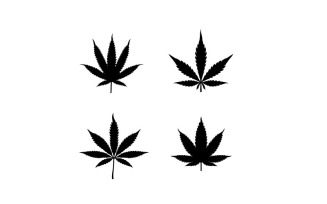 Silhouette Cbd Cannabis Marijuana Hemp Leaf Logo Design