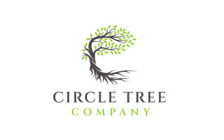 Tree And Root Logo Design Vector Template